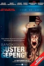Download Bangkitnya Suster Gepeng (2012) WEBDL Full Movie