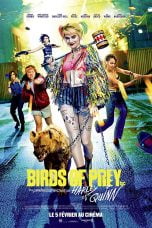 Poster Film Birds of Prey: And the Fantabulous Emancipation of One Harley Quinn (2020)